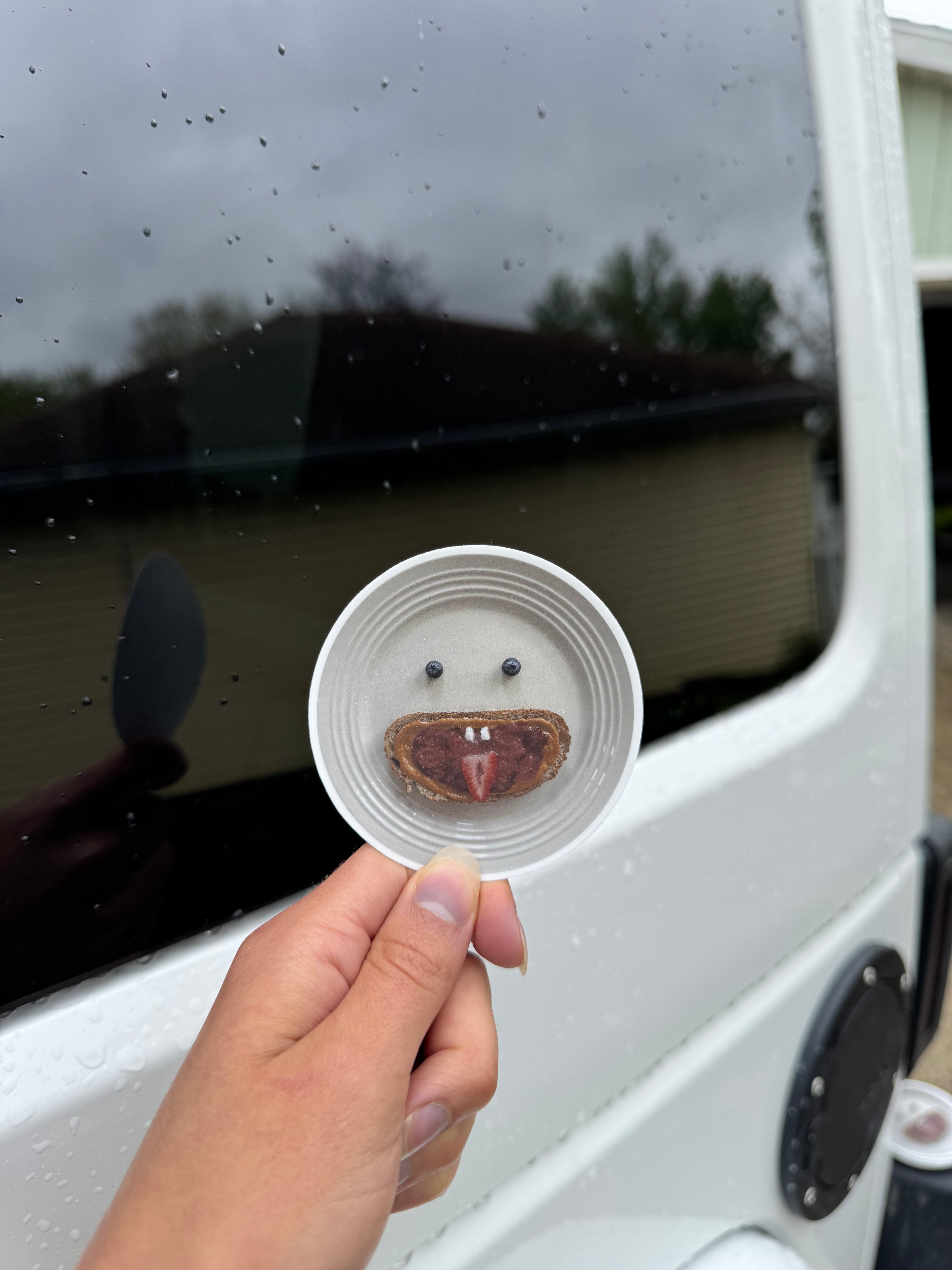 Palmer sticker